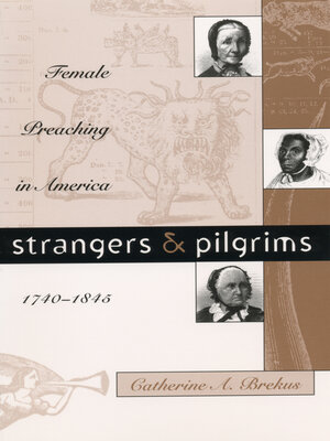 cover image of Strangers and Pilgrims